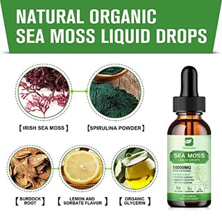 Foto 5 | Sea Moss Liquid Drops B Beworths Organic Irish 60 Ml - Venta Internacional.