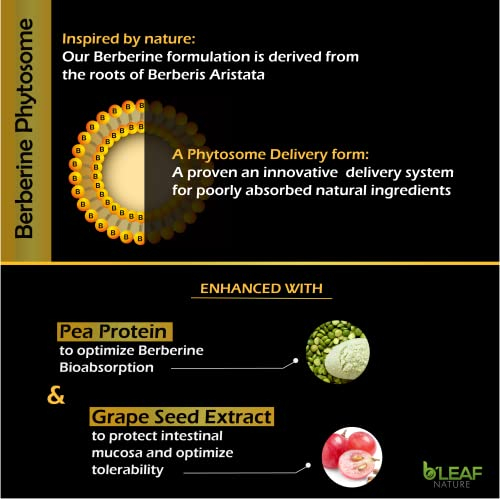 Foto 5 | Suplemento B'leaf Nature Berberine Phytosome 1100 Mg 120 Cápsulas - Venta Internacional.