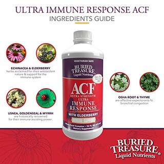 Foto 2 | Suplemento Buried Treasure Acf Extra Strength Immune 480 Ml - Venta Internacional.