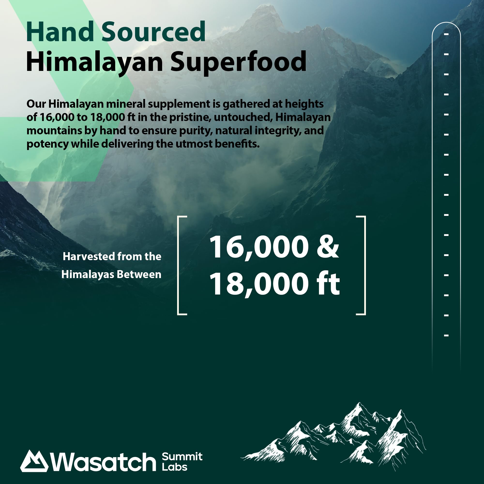 Foto 7 pulgar | Resina Shilajit Wasatch Summit Labs, Más De 85 Minerales Orgánicos, 30 Ml - Venta Internacional.