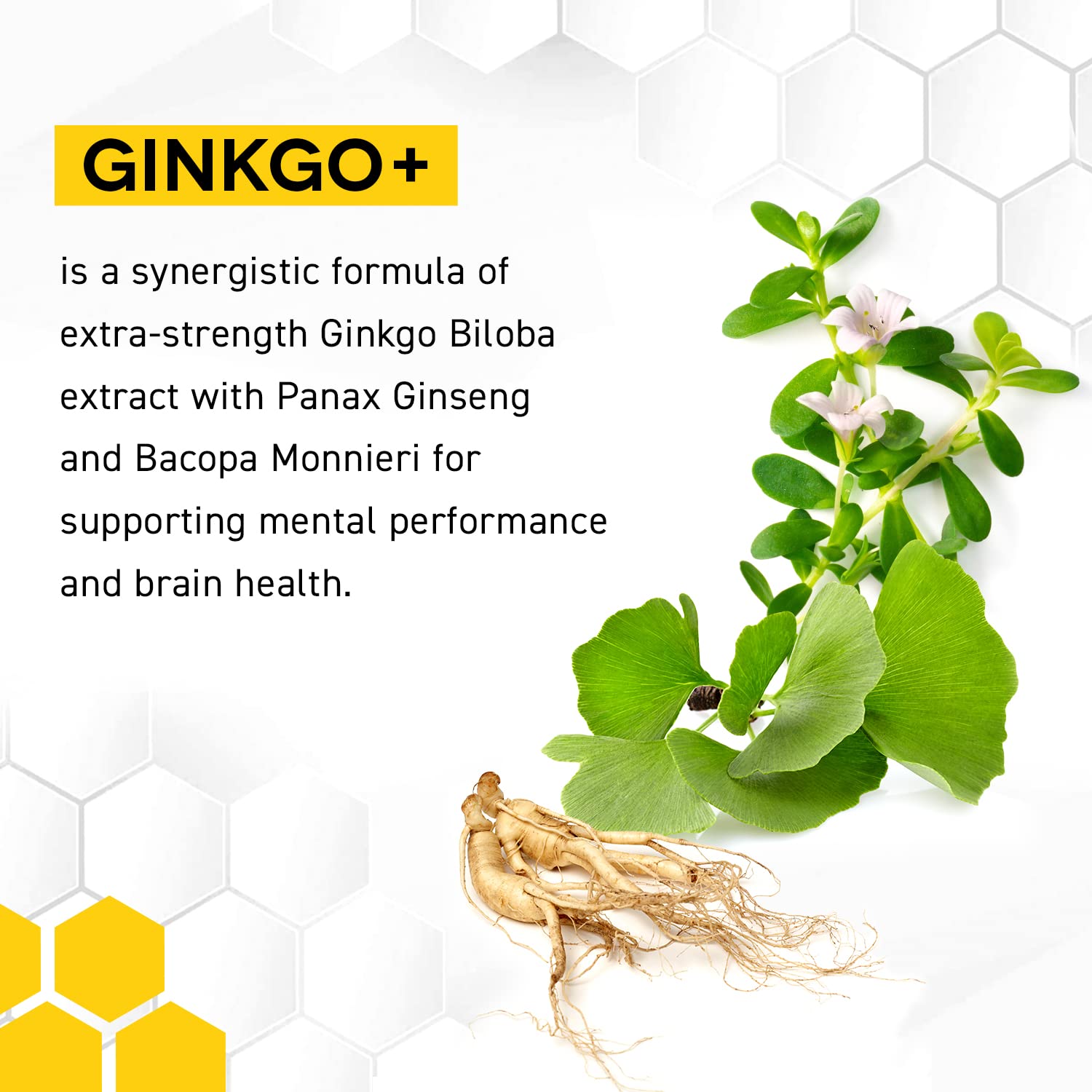 Foto 6 pulgar | Brain Supplements Natural Stacks Ginkgo Biloba Con Ginebras Panax - Venta Internacional.
