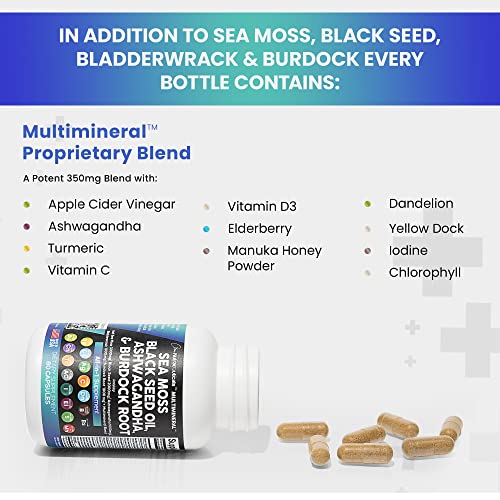 Foto 8 pulgar | Suplemento Clean Nutraceuticals Multimineral 3000 Mg De Musgo Marino - Venta Internacional.