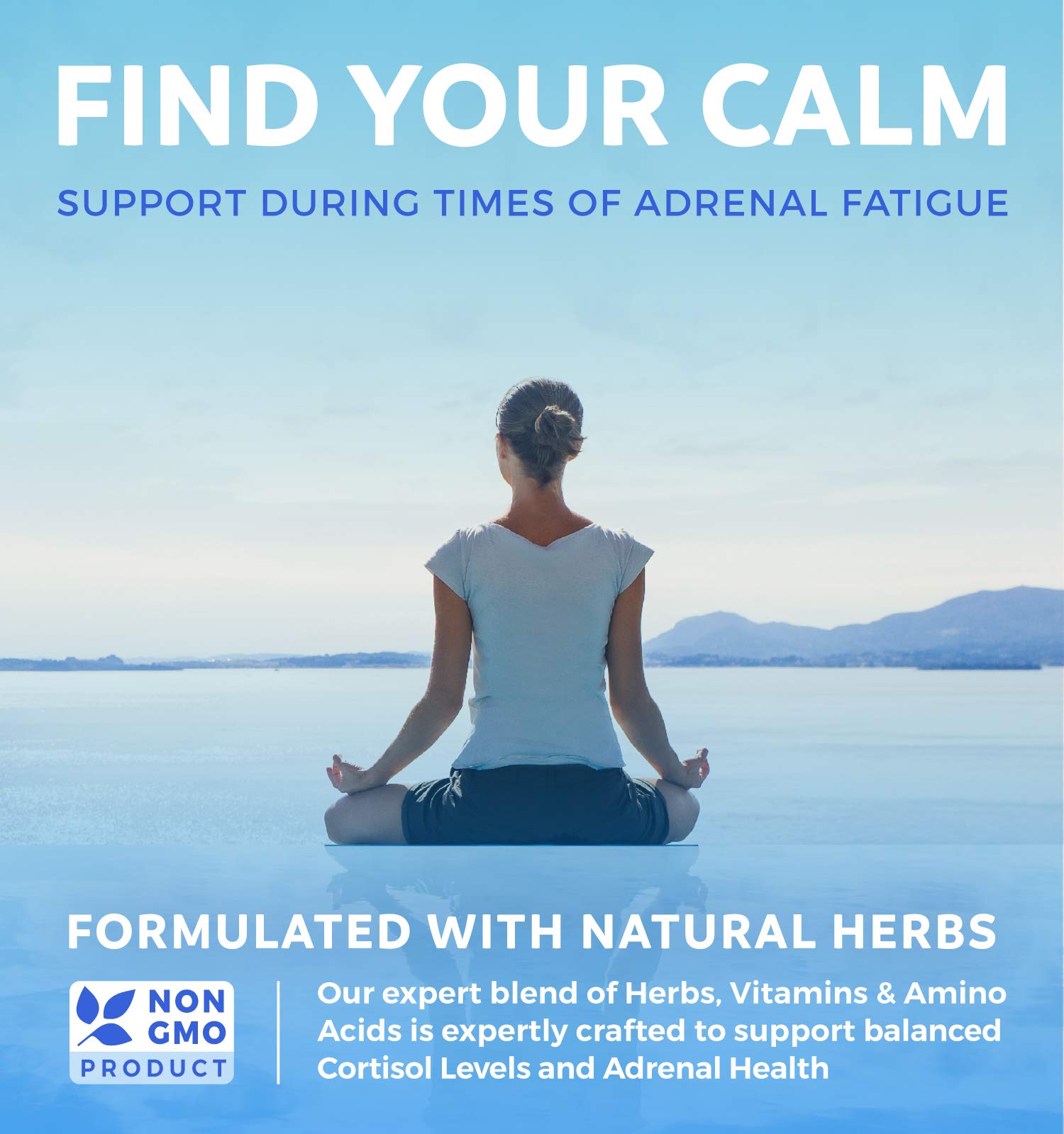 Foto 3 pulgar | Supplement Healths Harmony Adrenal Support 60 Cápsulas - Venta Internacional.