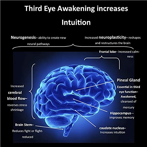 Foto 6 pulgar | Suplemento Kailash Herbals Third Eye Awakening Haritaki 650 Ml - Venta Internacional.