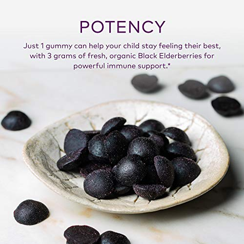 Foto 4 pulgar | Gomitas Gaia Herbs Gaiakids Black Elderberry Daily 40 Unidades - Venta Internacional.