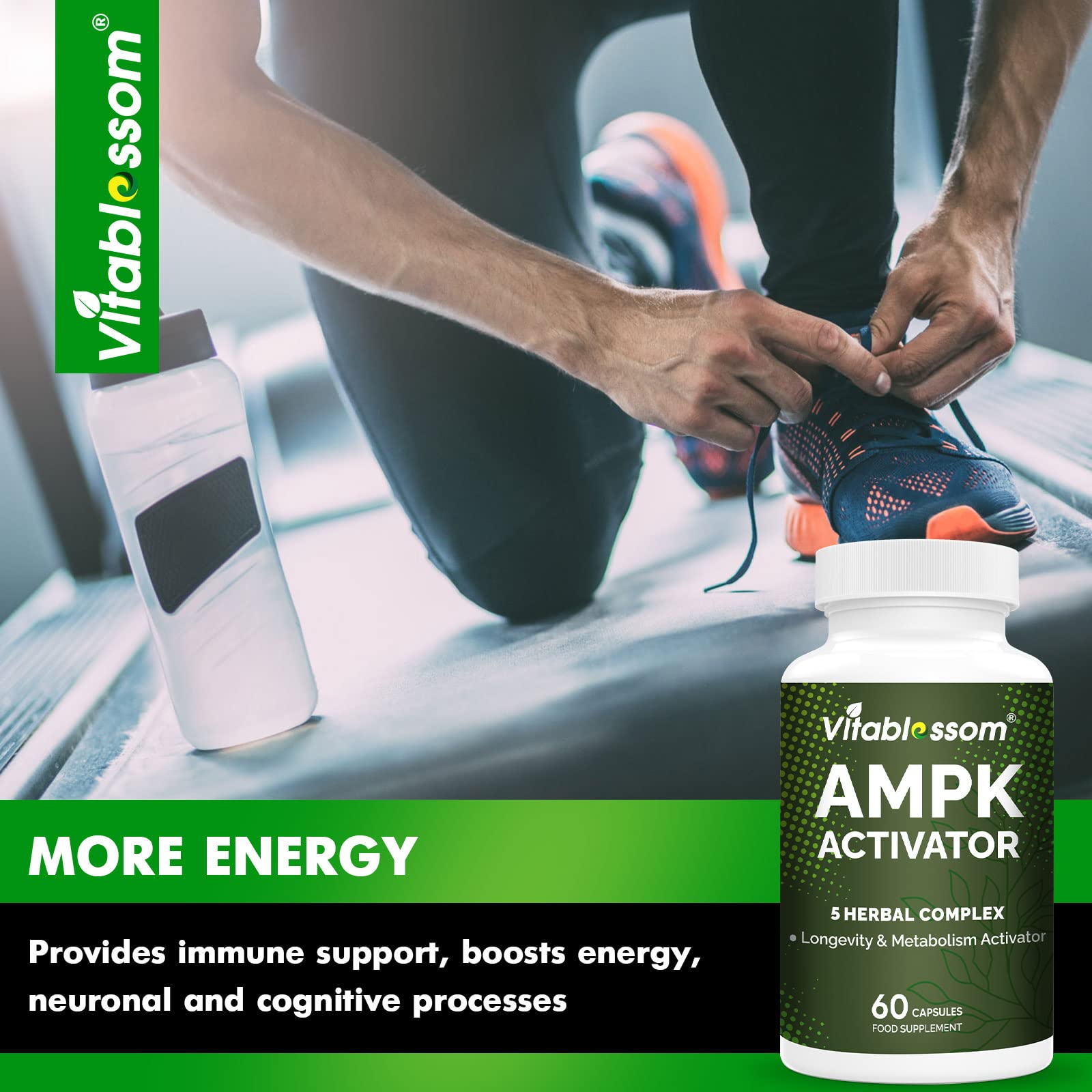 Foto 6 pulgar | Suplemento Vitablosom Ampk Activator 5 En 1 Jiaogulan Gynos - Venta Internacional.