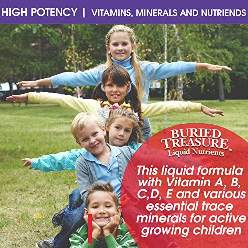 Foto 5 pulgar | Suplemento Buried Treasure Children's Daily Multi, 473 Ml - Venta Internacional.