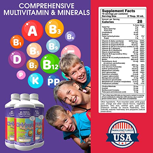 Foto 8 pulgar | Suplemento Buried Treasure Children's Daily Multi, 473 Ml - Venta Internacional.