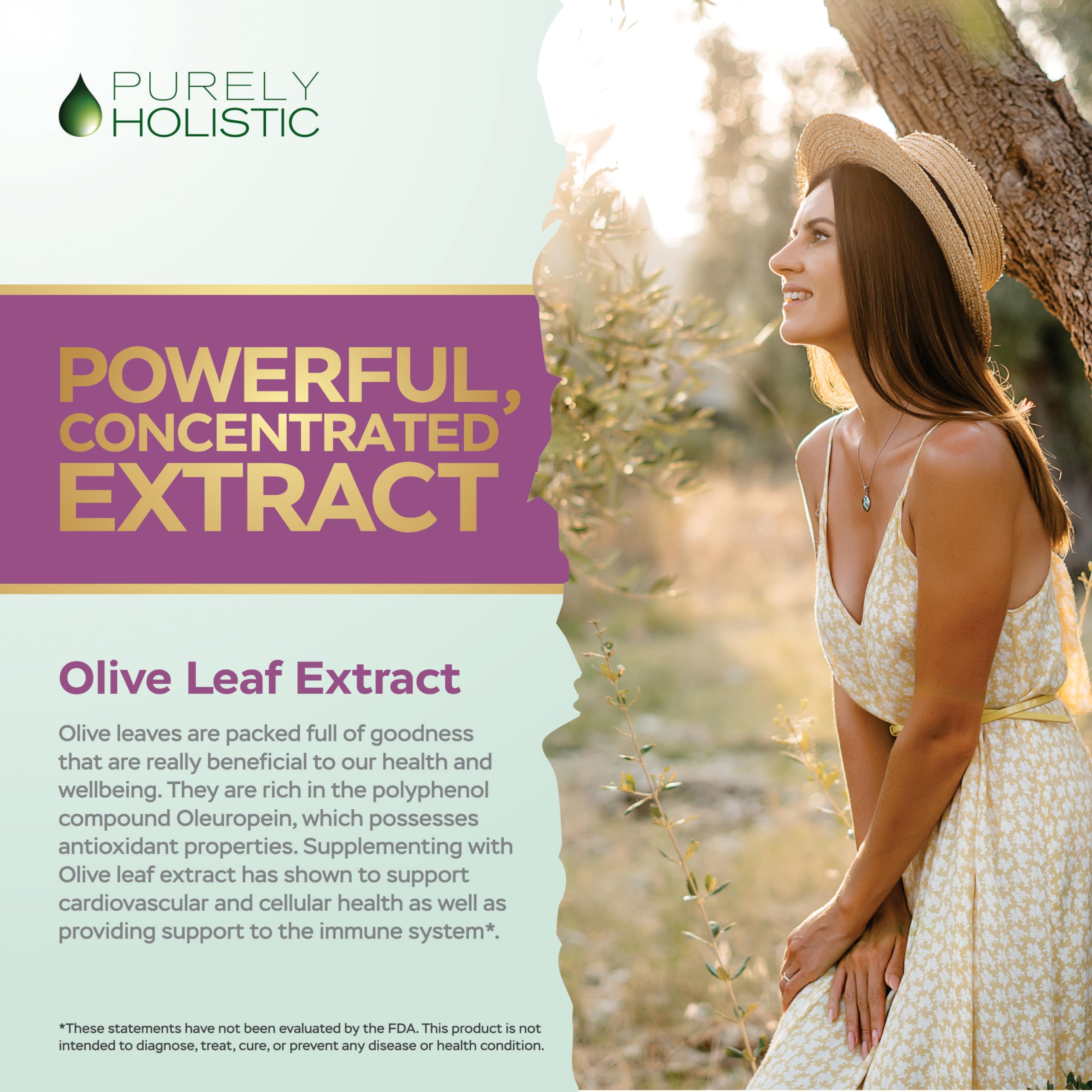 Foto 4 | Suplemento De Extracto De Hoja De Olivo Puramente Holístico 750 Mg X120 - Venta Internacional.