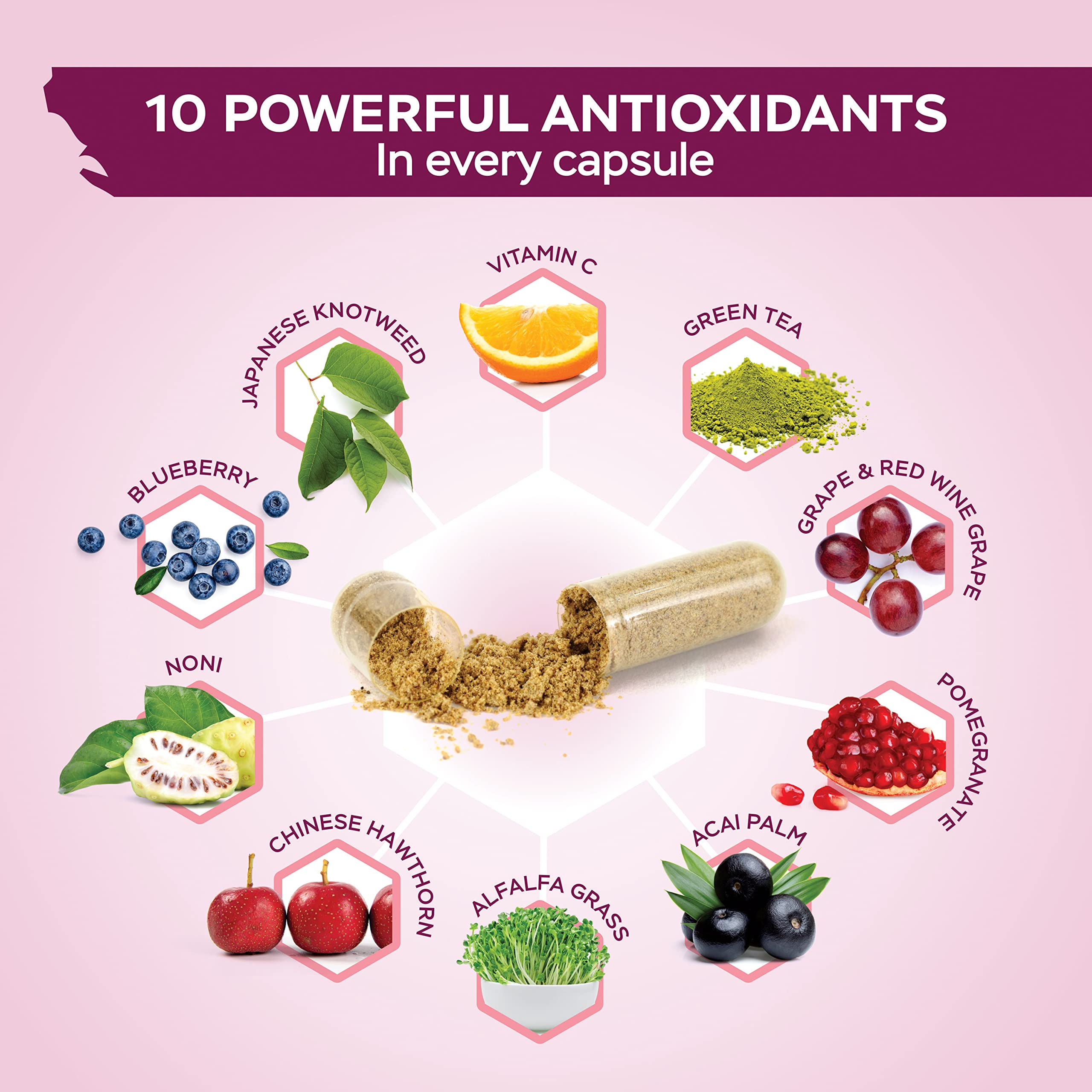 Foto 6 pulgar | Suplemento De Resveratrol Puramente Holístico De 1450 Mg Con 180 Cápsulas - Venta Internacional.