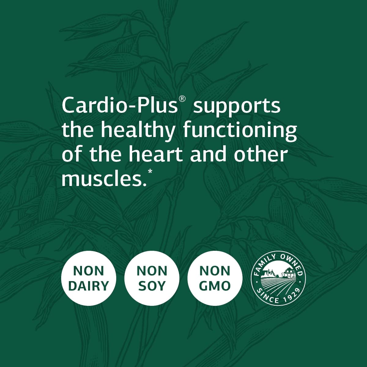 Foto 5 pulgar | Suplemento Standard Process Cardio-plus Heart Health 90 Tabletas-Venta Internacional