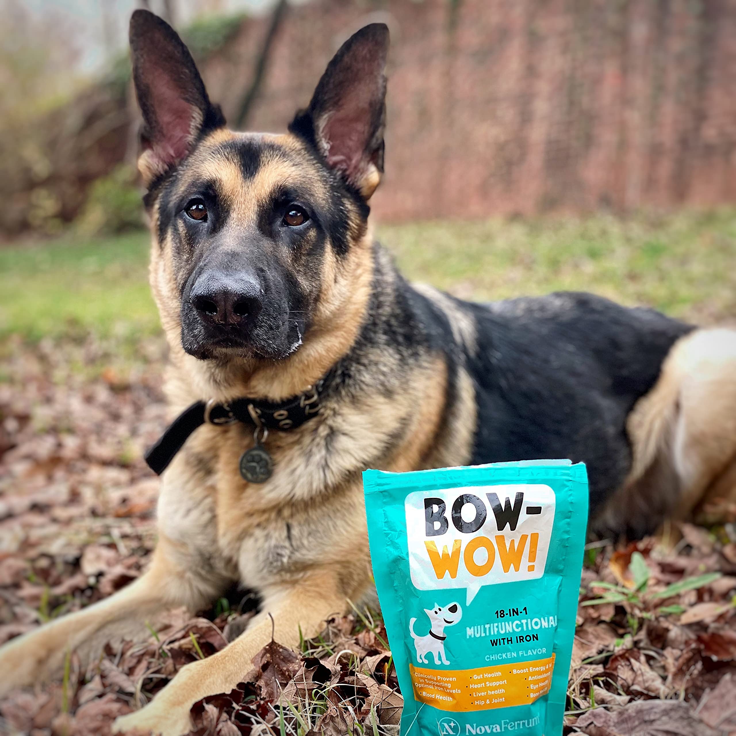Foto 7 pulgar | Suplemento Novaferrum Bow Wow 18 en 1 Multifuncional para Perro - Venta Internacional