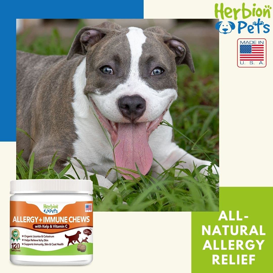 Foto 6 pulgar | Suplemento Herbion Pets Allergy + Immune Chews para Perros - Venta Internacional