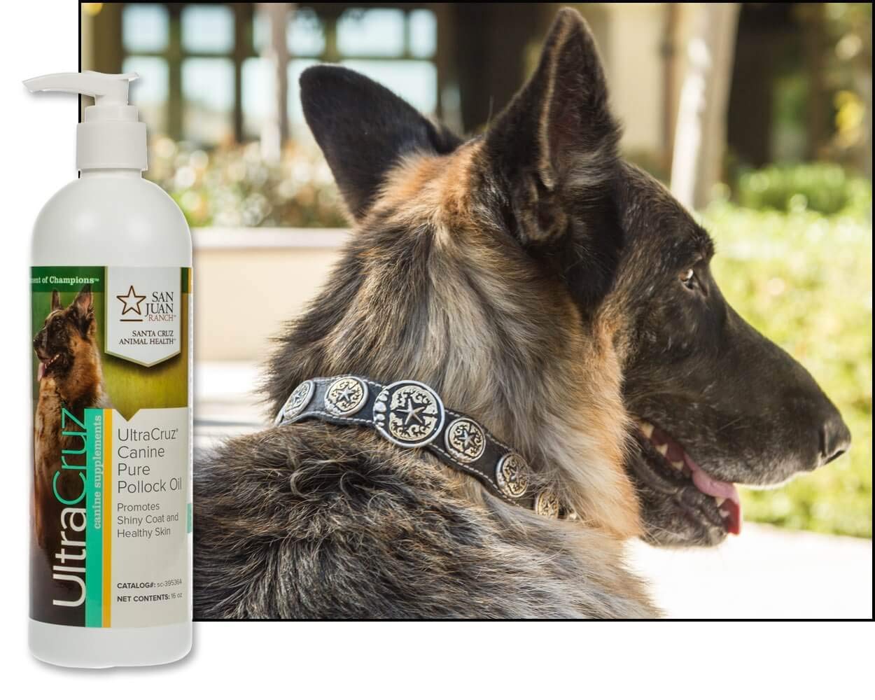Foto 4 pulgar | Suplemento Ultracruz Canine Pure Pollock Oil 473ml para Perros - Venta Internacional