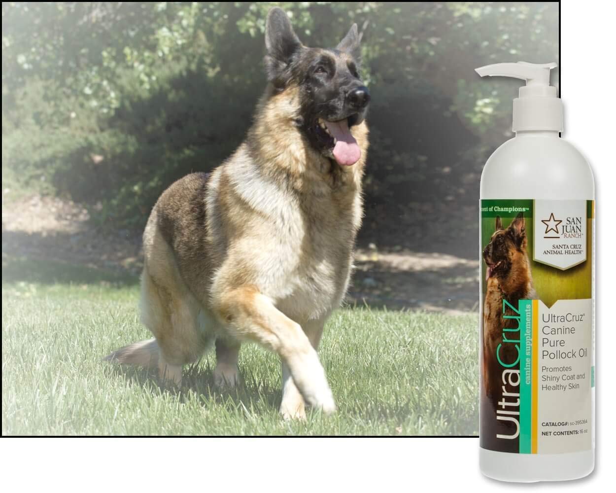 Foto 4 | Suplemento Ultracruz Canine Pure Pollock Oil 473ml para Perros - Venta Internacional