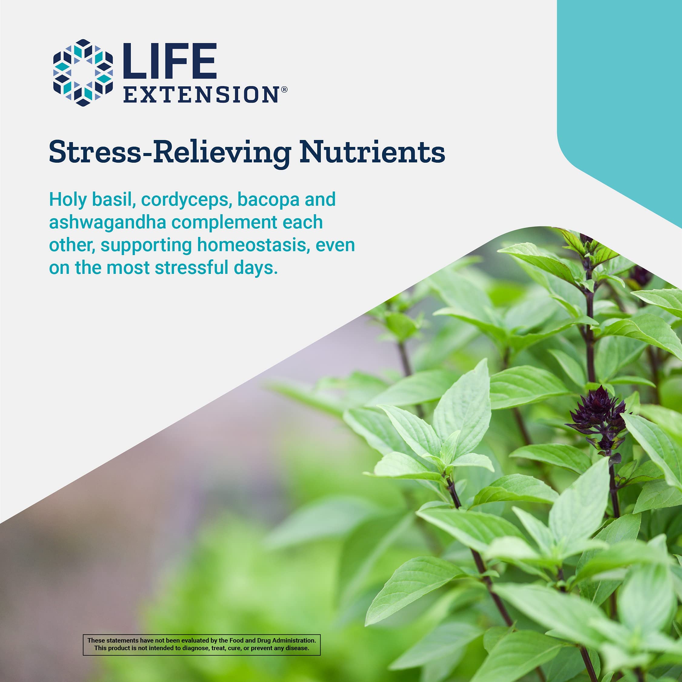 Foto 5 | Suplemento Life Extension Adrenal Energy 120 Cápsulas - Venta Internacional