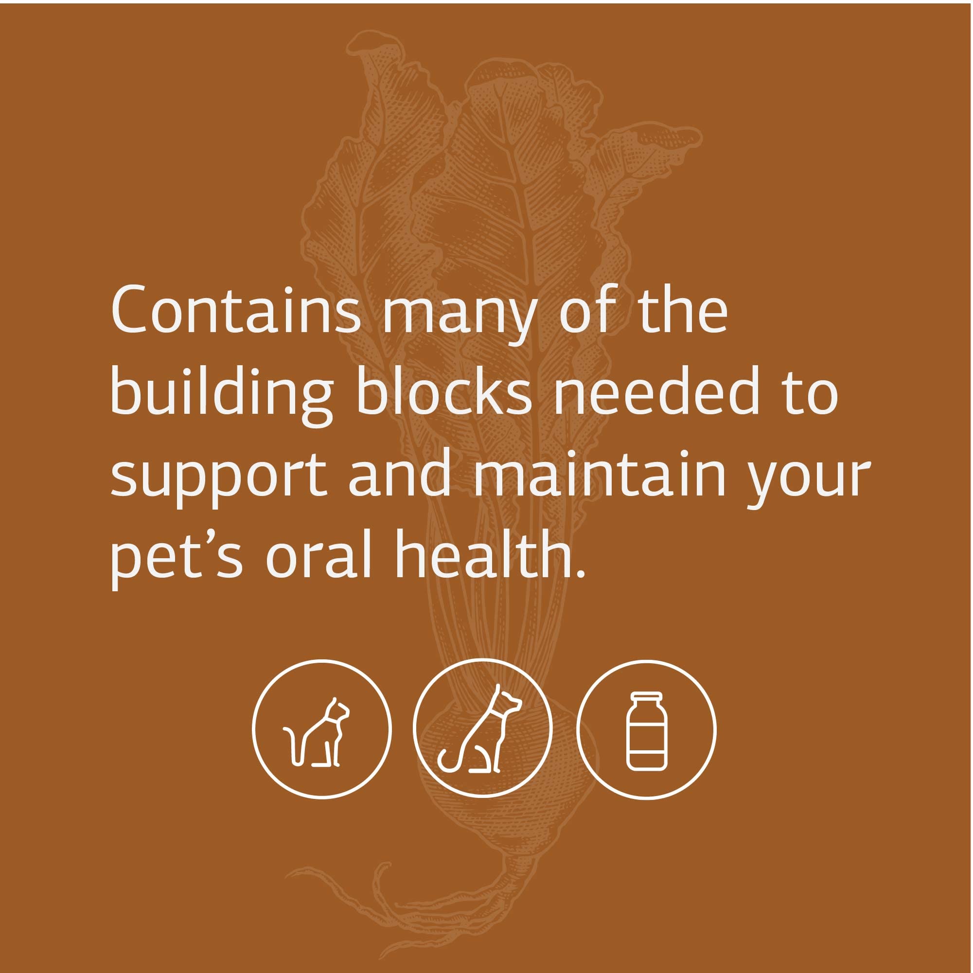 Foto 4 pulgar | Suplemento Standard Process Vf Bio-dent Para Mascotas, 90 Comprimidos - Venta Internacional.