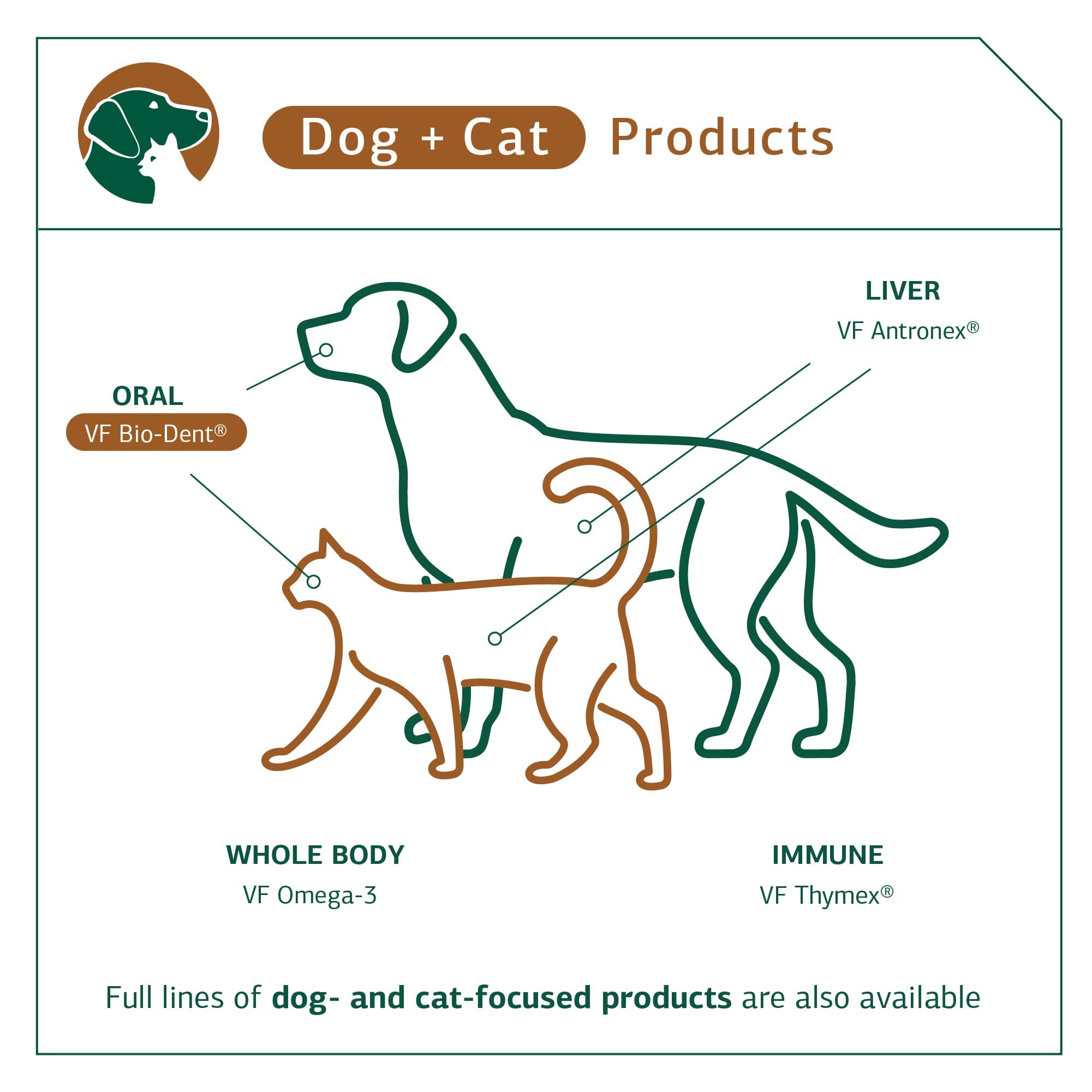 Foto 6 pulgar | Suplemento Standard Process Vf Bio-dent Para Mascotas, 90 Comprimidos - Venta Internacional.