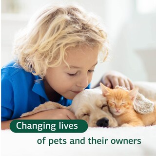 Foto 6 | Suplemento Standard Process Vf Bio-dent Para Mascotas, 90 Comprimidos - Venta Internacional.