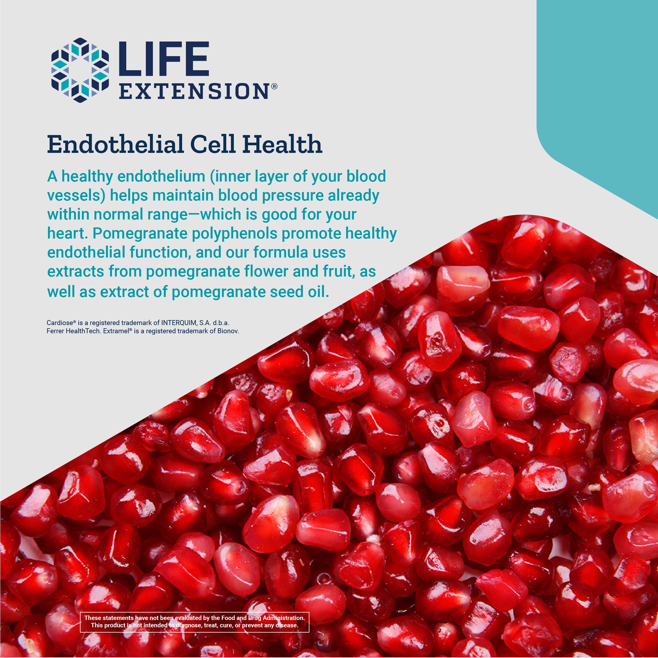 Foto 5 pulgar | Suplemento Life Extension Endotelial Defense Pomegranate Plus - Venta Internacional.