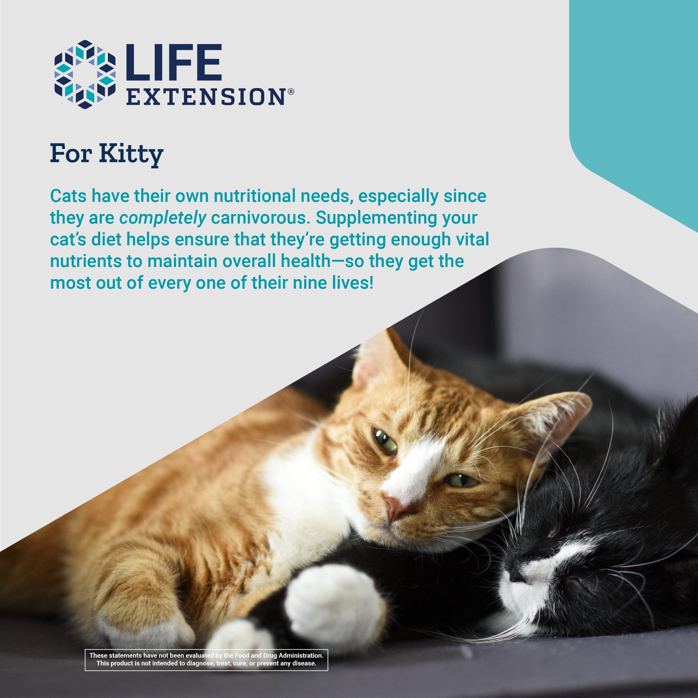 Foto 5 | Suplemento Para Gatos Life Extension Cat Mix Para Corazón Y Riñón  - Venta Internacional.