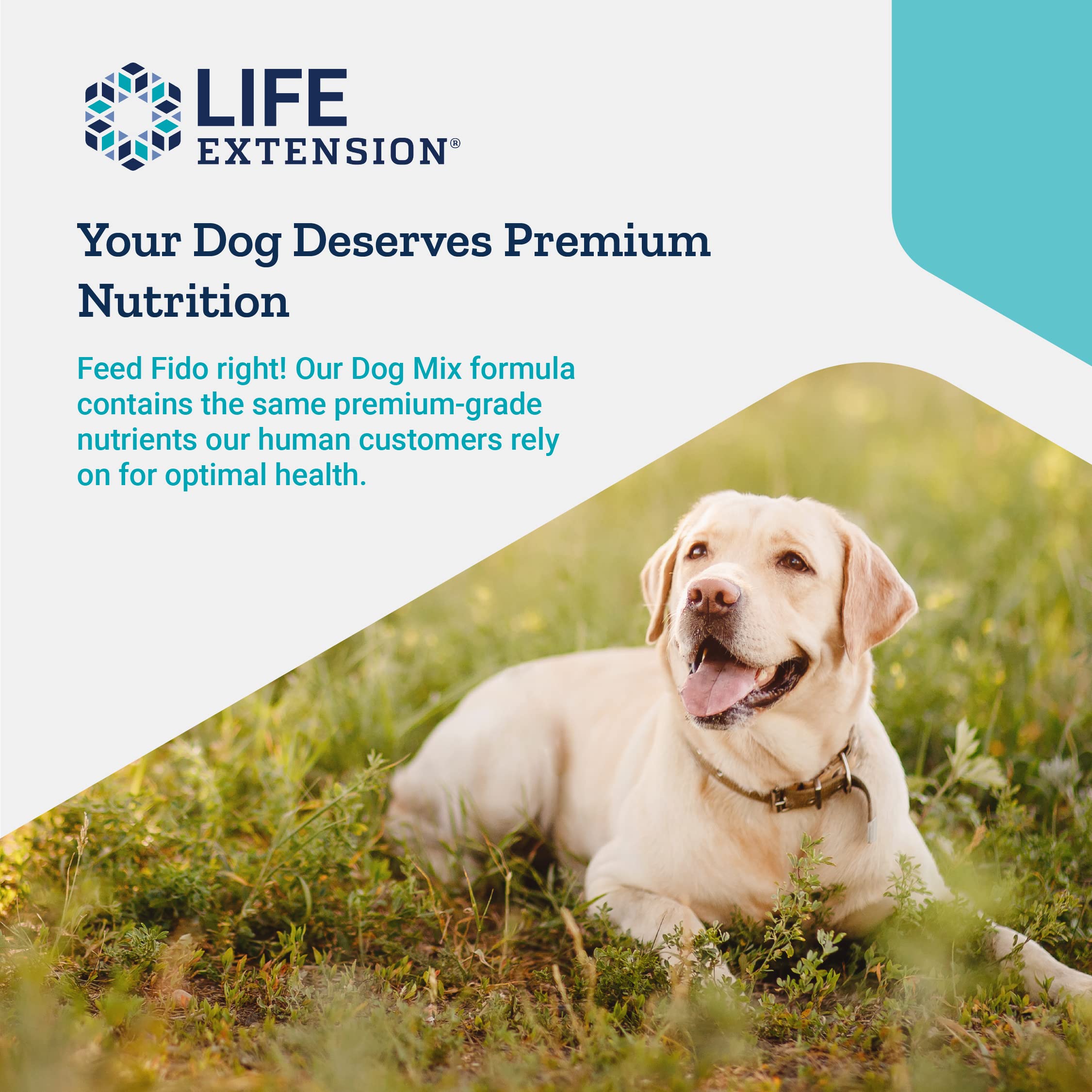 Foto 6 pulgar | Suplemento en Polvo Life Extension Dog Mix 100 G 60 Porciones - Venta Internacional