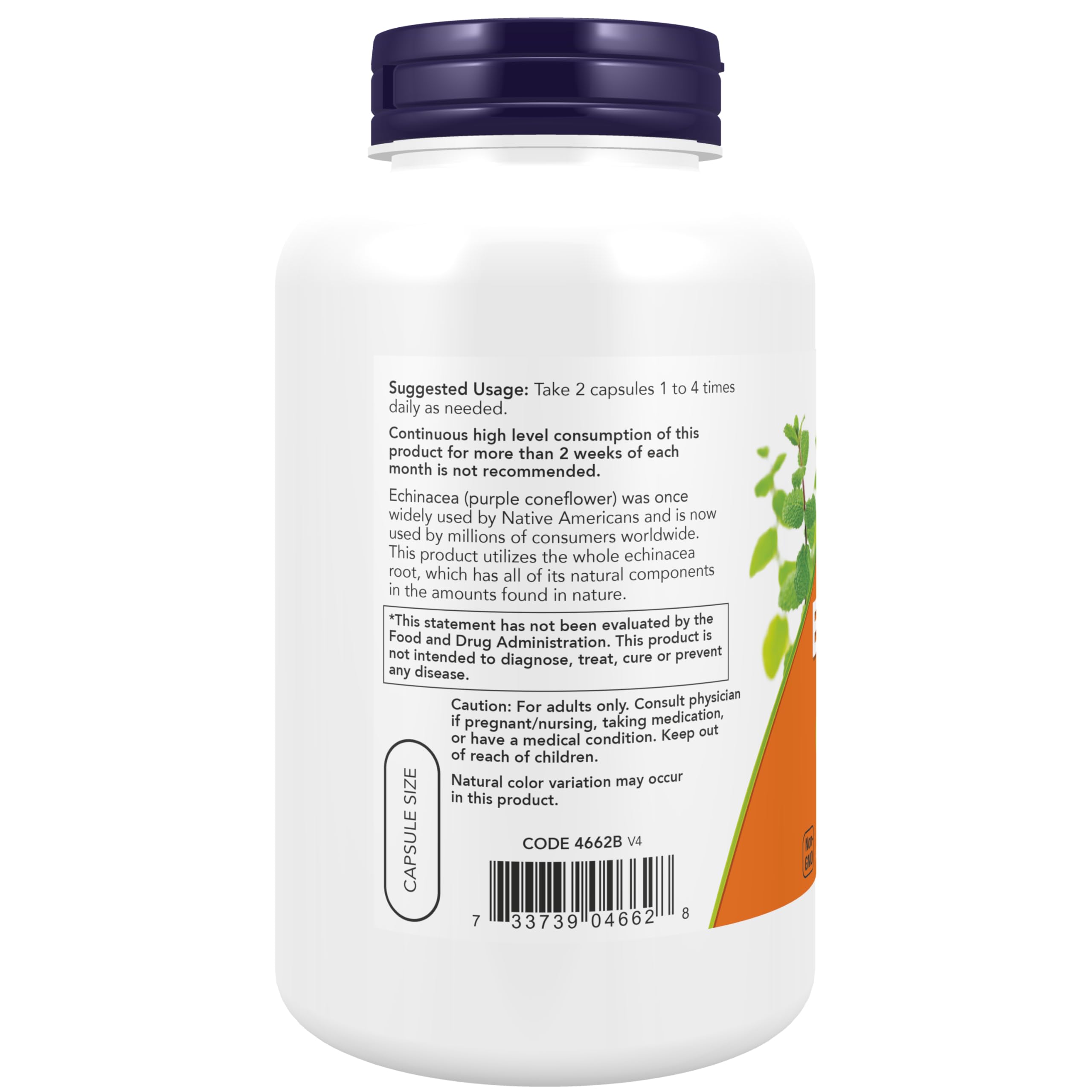 Foto 4 pulgar | Suplemento Now Echinacea raíz de Purpurea 400 Mg 250 Cápsulas - Venta Internacional