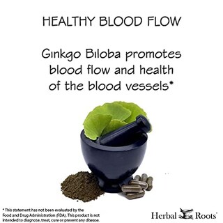 Foto 5 | Suplemento Herbal Roots Ginkgo Biloba Organic Leaf 1400 Mg - Venta Internacional.