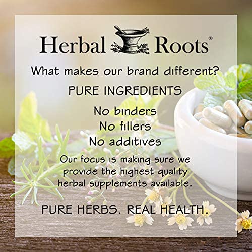 Foto 7 pulgar | Suplemento Herbal Roots Ginkgo Biloba Organic Leaf 1400 Mg - Venta Internacional.