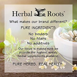 Foto 6 | Suplemento Herbal Roots Ginkgo Biloba Organic Leaf 1400 Mg - Venta Internacional.
