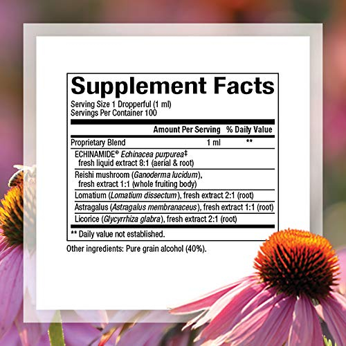 Foto 3 pulgar | Suplemento Natural Factors Anti-v Liquid Echinacea 100 Ml - Venta Internacional.