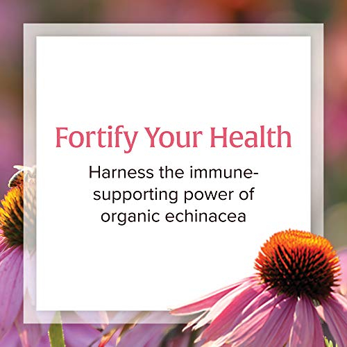 Foto 4 pulgar | Suplemento Natural Factors Anti-v Liquid Echinacea 100 Ml - Venta Internacional.