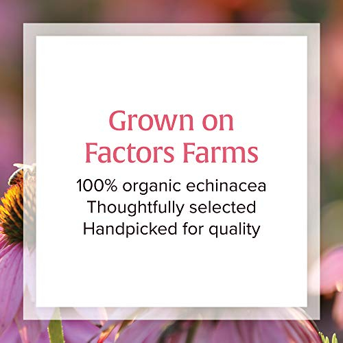 Foto 6 pulgar | Suplemento Natural Factors Anti-v Liquid Echinacea 100 Ml - Venta Internacional.