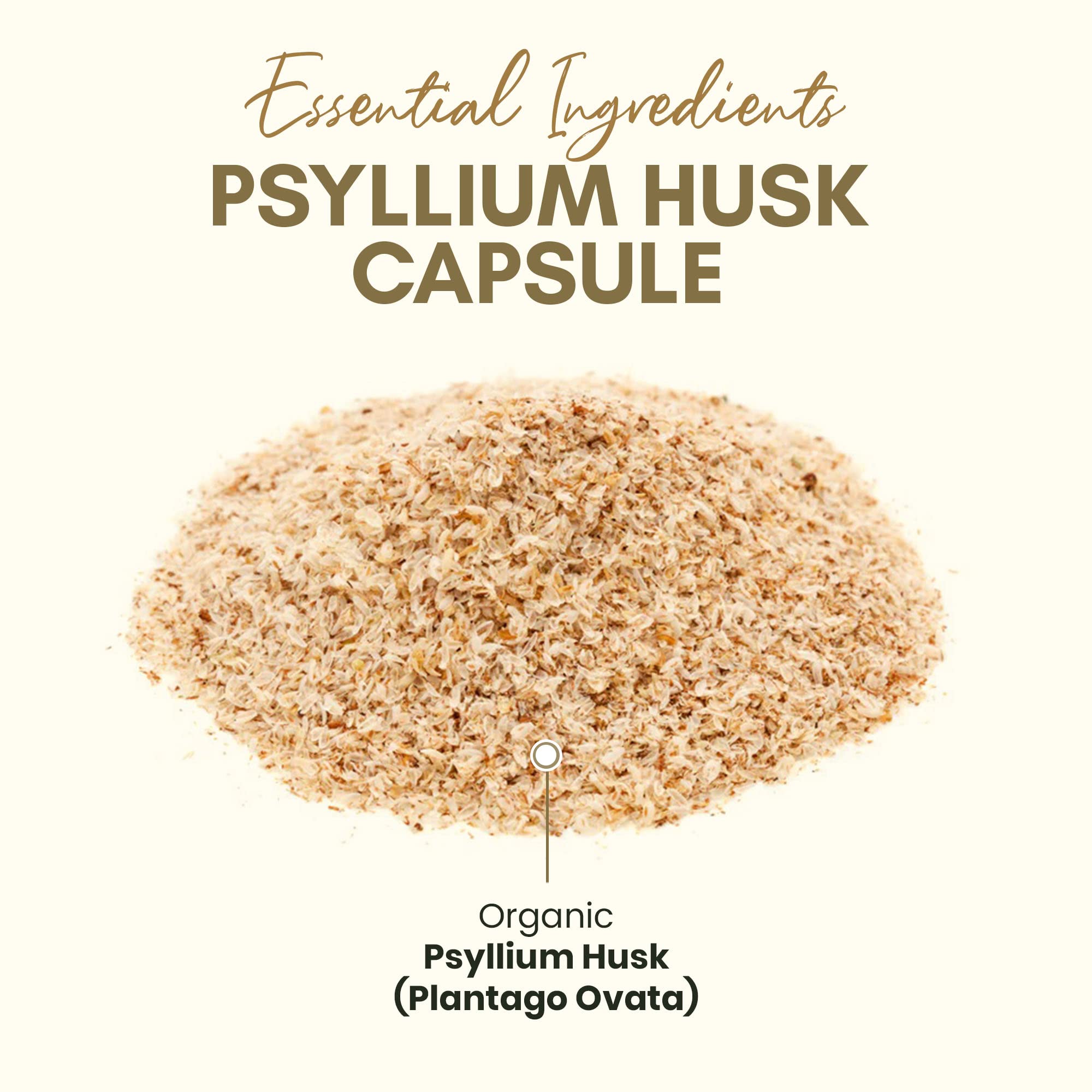 Foto 5 pulgar | Cápsulas De Cáscara De Psilio Z Zealthy Life 375 Mg De Fibra Soluble - Venta Internacional.