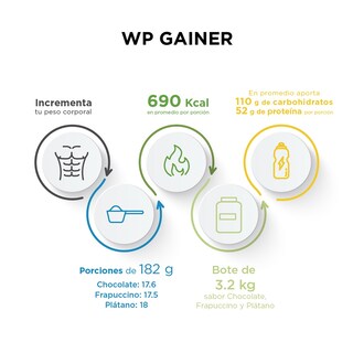 Foto 2 | Proteína Gainer Evolution Wp sabor Chocolate de 3200 g