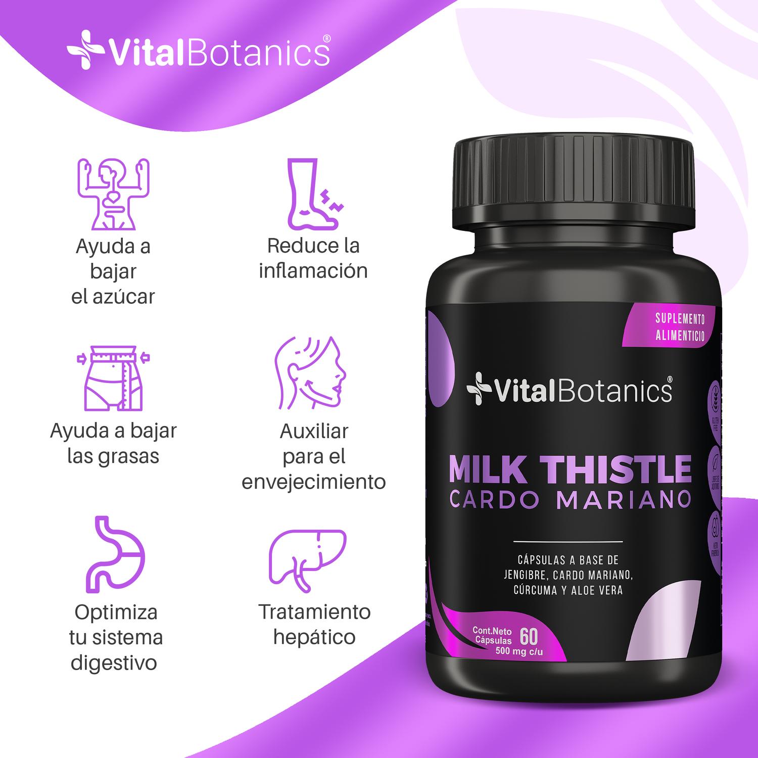 Foto 3 pulgar | Milk Thistle Cardo Mariano- 60 Capsulas VITAL BOTANICS
