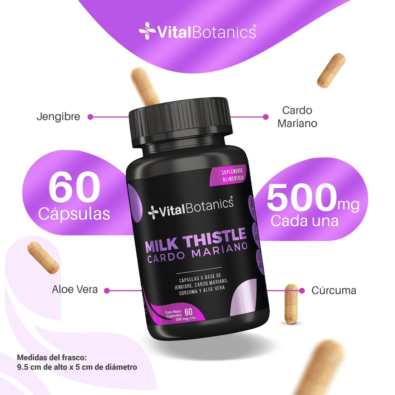 Foto 4 pulgar | Milk Thistle Cardo Mariano- 60 Capsulas VITAL BOTANICS