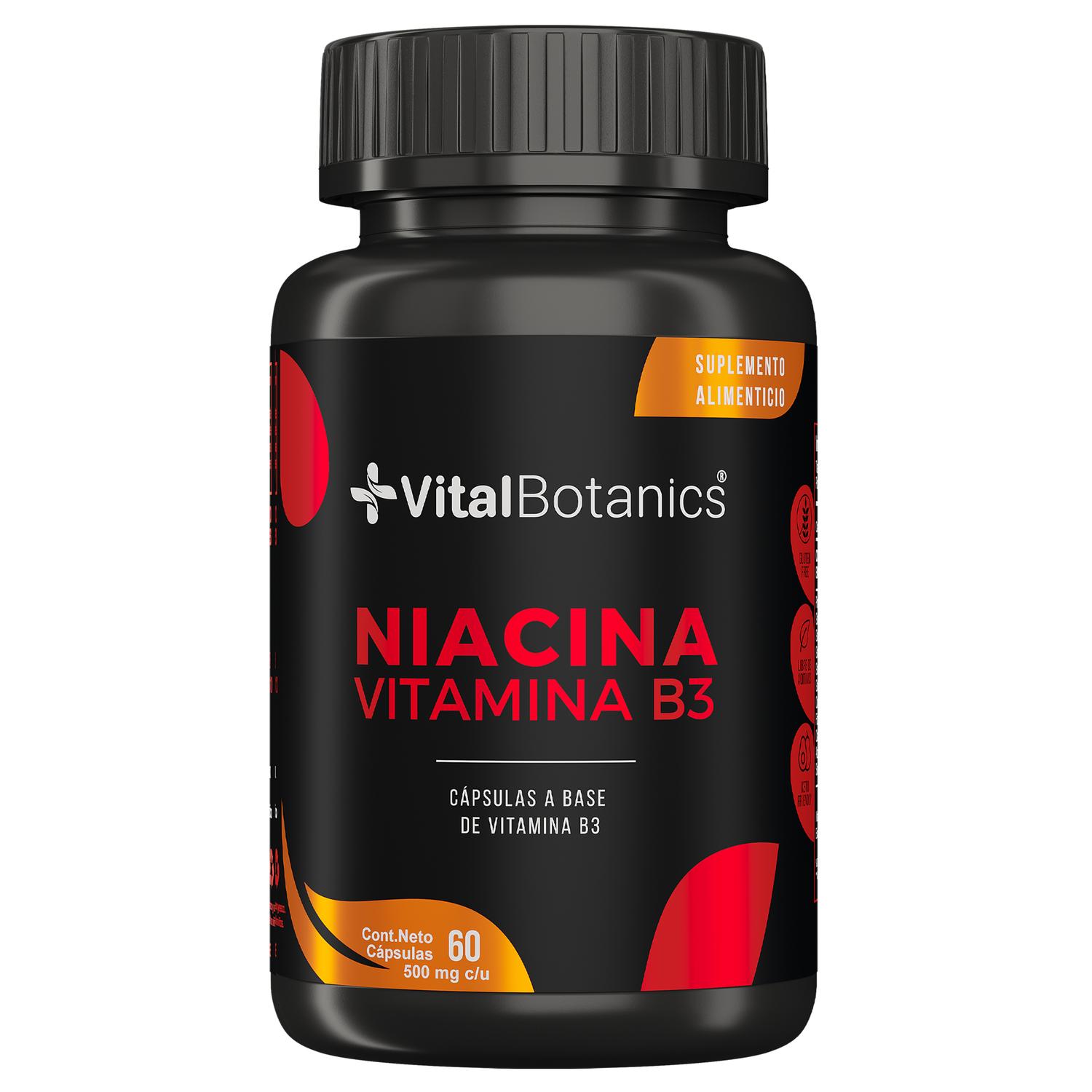 Foto 2 pulgar | Niacina Vitamina B3| 60 Capsulas| Suplemento Alimenticio A Base De Vitamina B3 | Multivitaminico.