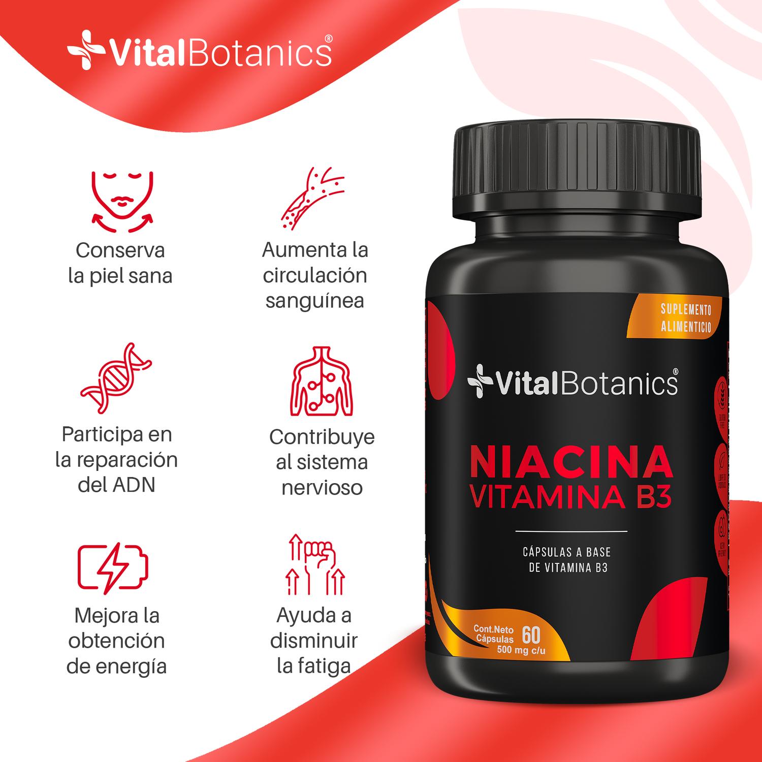 Foto 3 pulgar | Niacina Vitamina B3| 60 Capsulas| Suplemento Alimenticio A Base De Vitamina B3 | Multivitaminico.
