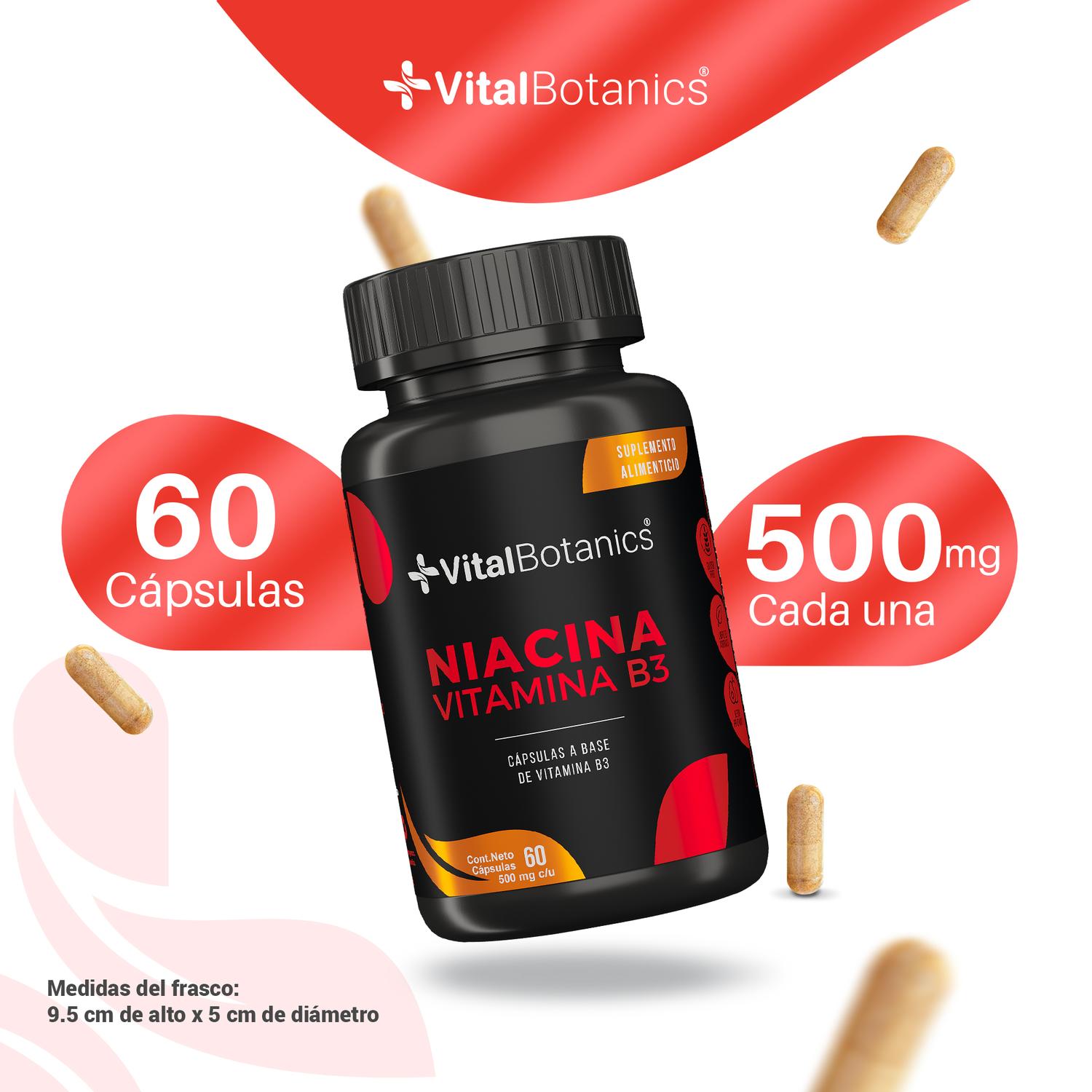 Foto 4 pulgar | Niacina Vitamina B3| 60 Capsulas| Suplemento Alimenticio A Base De Vitamina B3 | Multivitaminico.