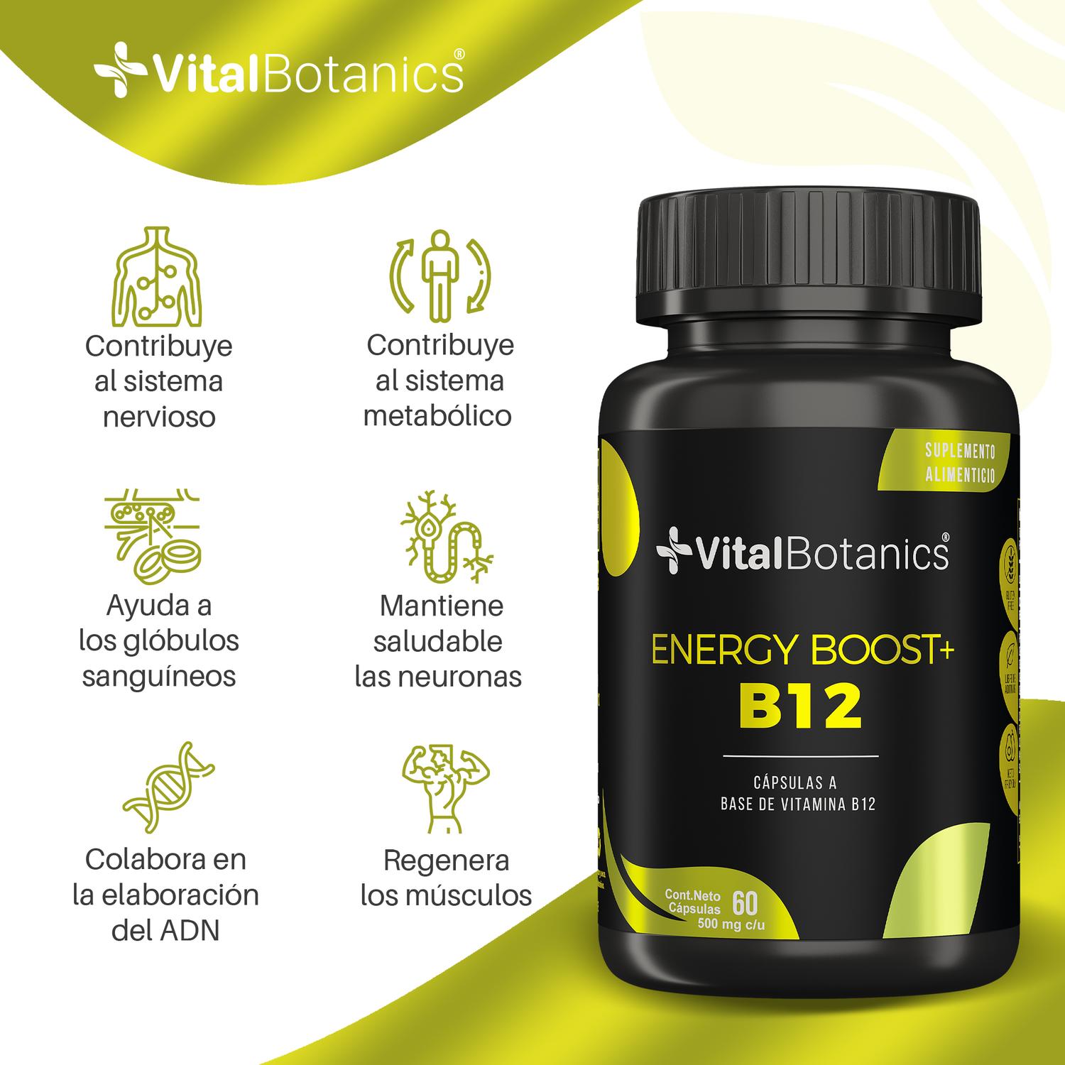 Foto 3 pulgar | Complejo Vitamina B Con 60 Capsulas. Suplemento Alimenticio A Base De Arandano Y Vitamina B.