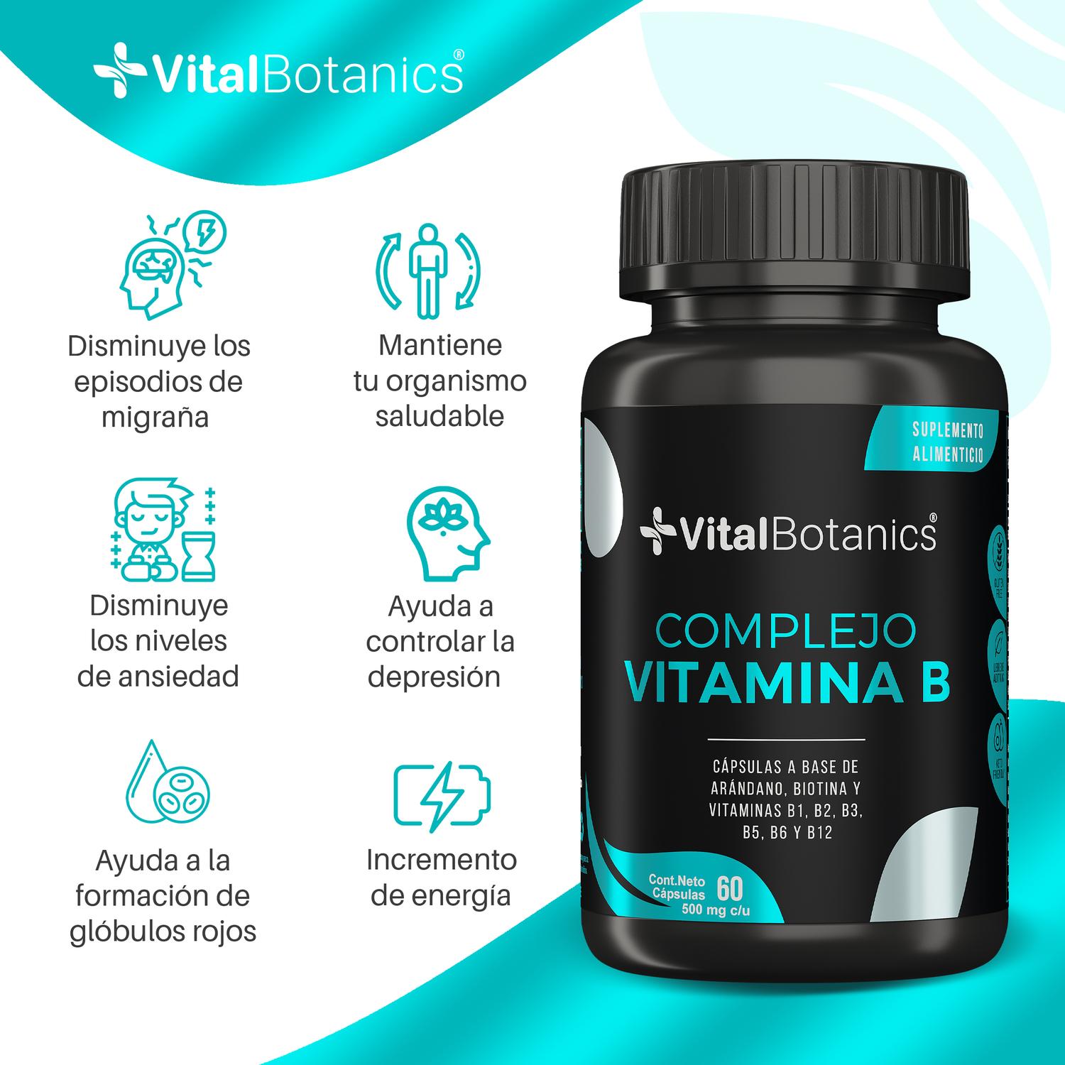 Foto 2 | Vitaminas Complejo B + Biotina + Arandano 60 Capsulas