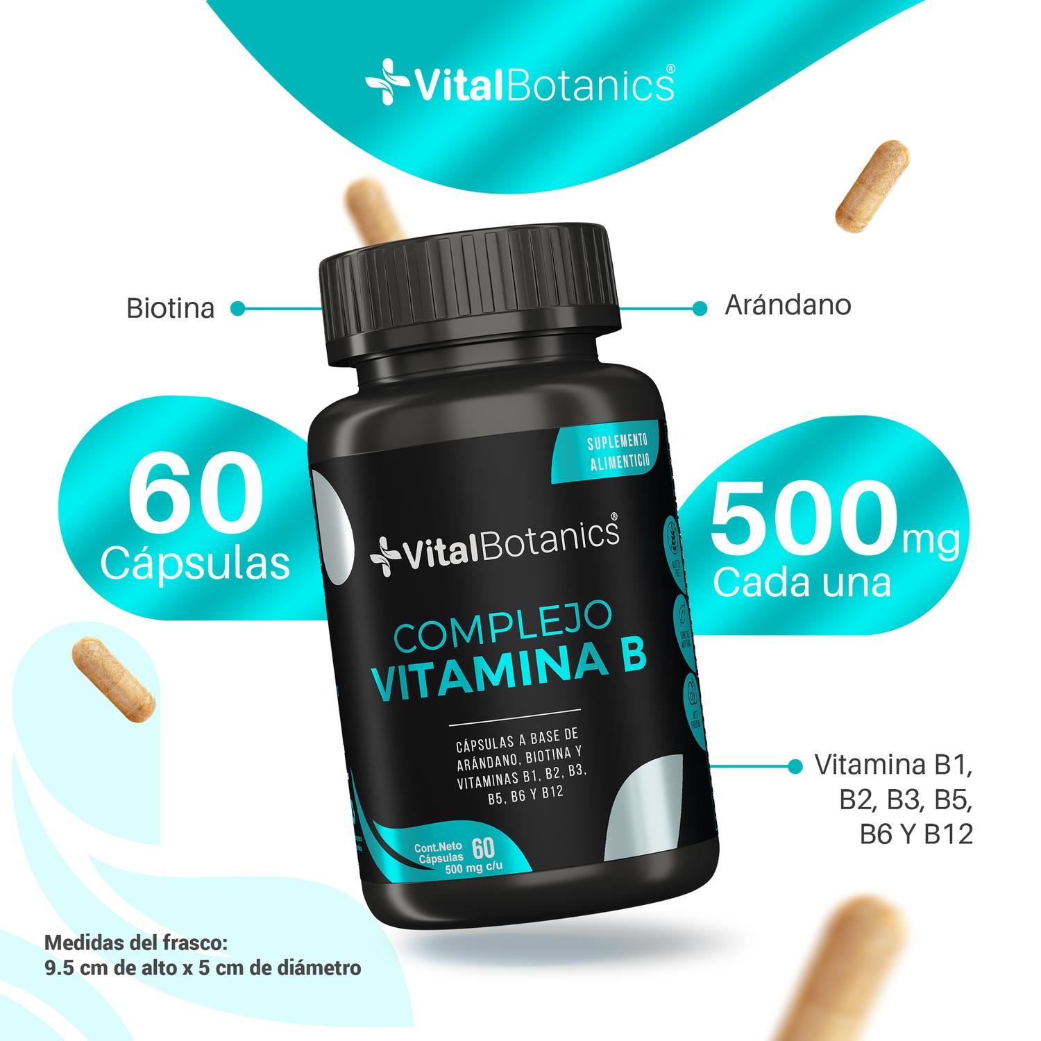 Foto 3 | Vitaminas Complejo B + Biotina + Arandano 60 Capsulas