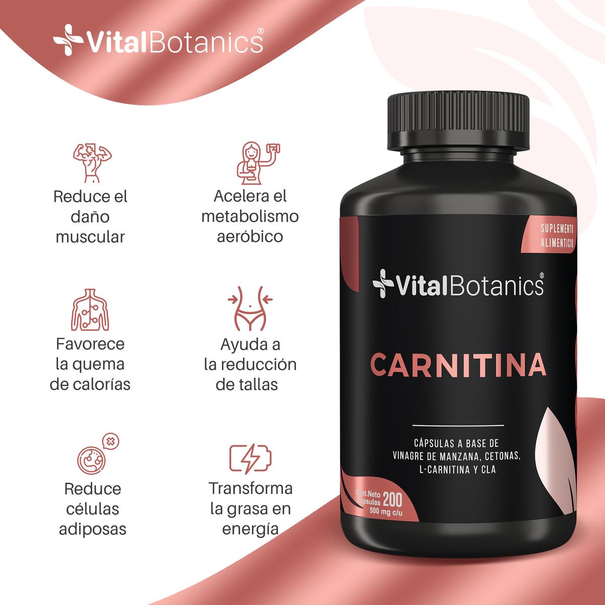 Foto 3 pulgar | L Carnitina + Cla + Vinagre De Manzana 200cap Vitalbotanics