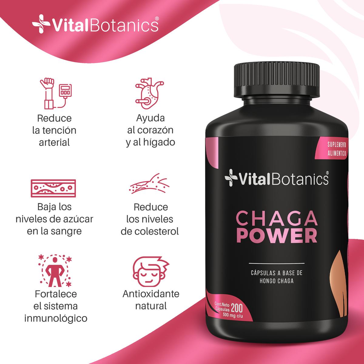 Foto 3 pulgar | Suplemento Hongo Chaga Power 200 Capsulas | Vitalbotanics