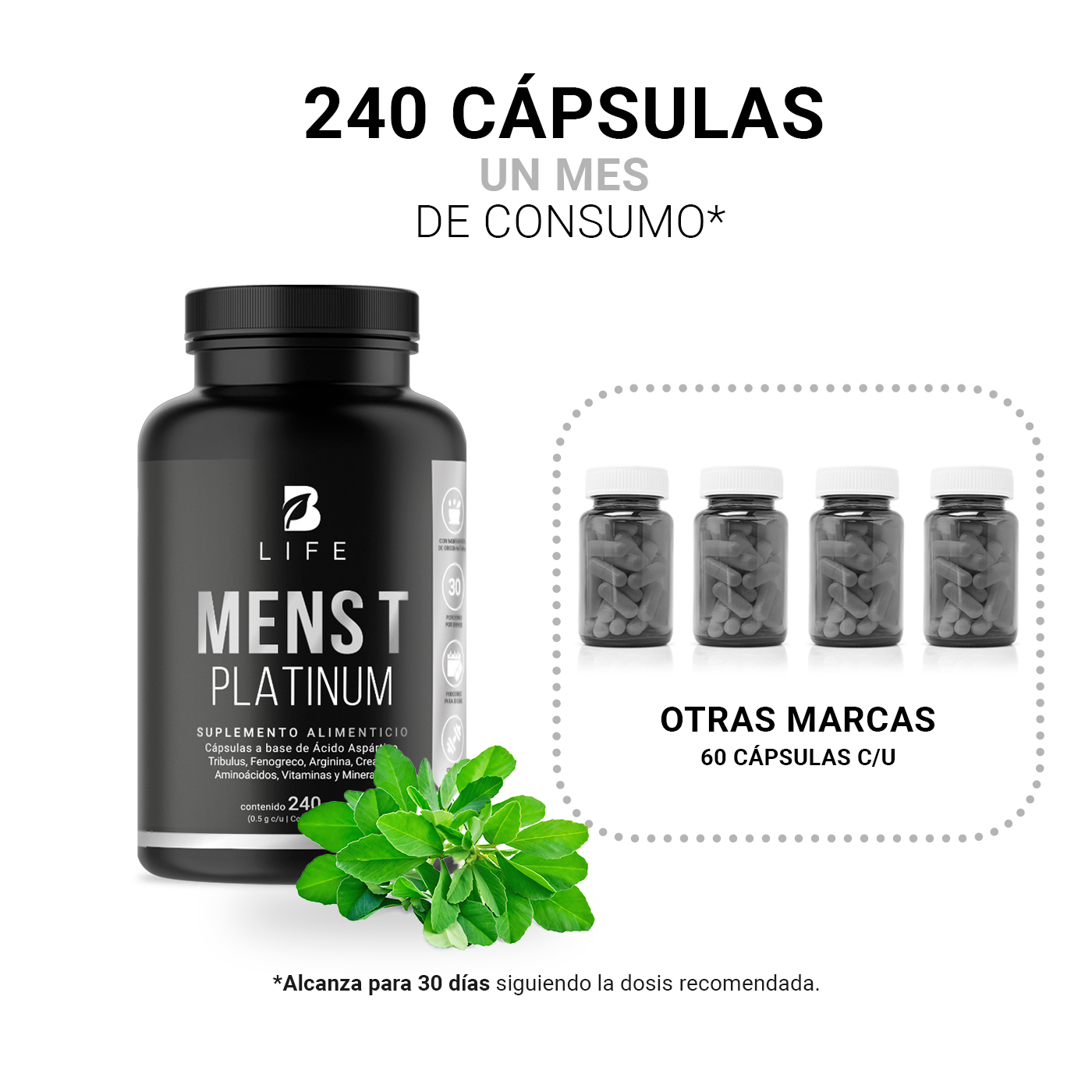 Foto 6 pulgar | Fórmula Platinum para Hombre 240 Cápsulas con 500 mg Ingredientes naturales Mens T Platinum B Life