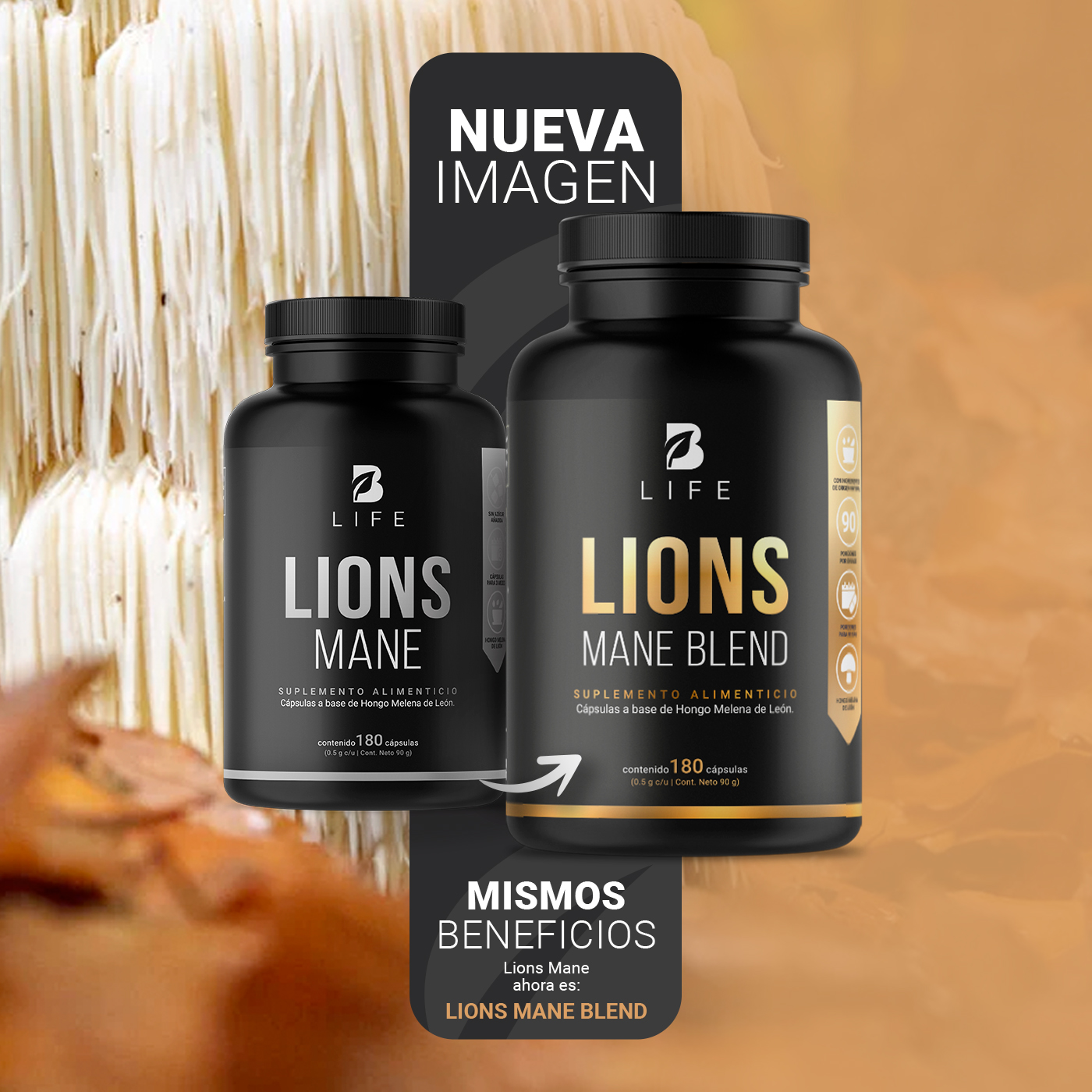 Foto 4 pulgar | Suplemento Alimenticio B Life Lions Mane Blend 180 Cápsulas