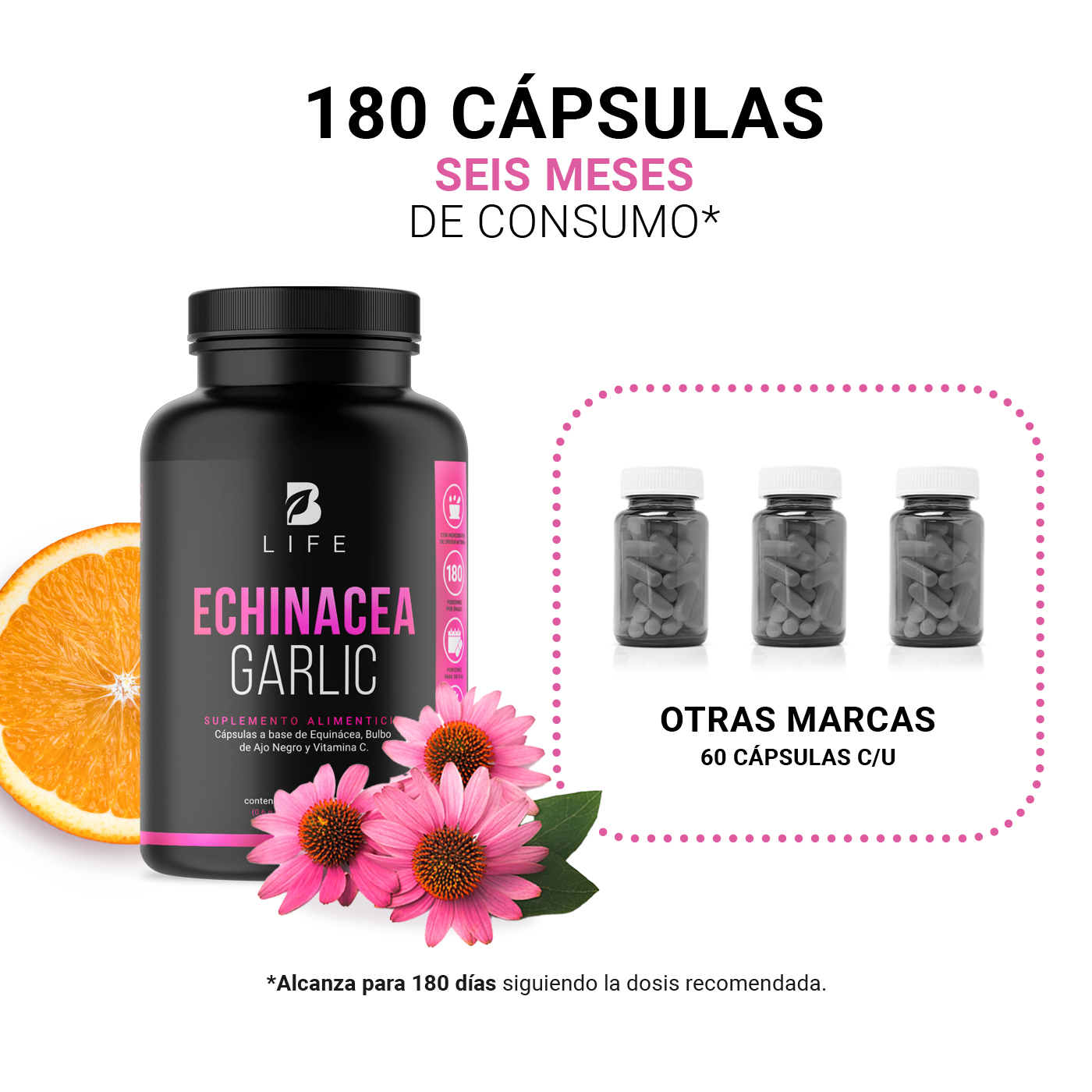 Foto 5 | Equinácea Con Ajo Negro Vitamina C B Life