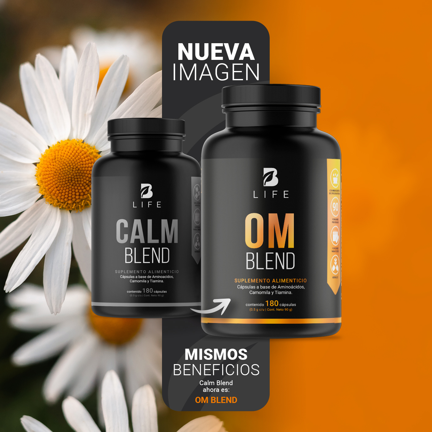 Foto 4 pulgar | Suplemento Alimenticio Om Blend 500 mg 180 Cápsulas Ingredientes Naturales Om Blend B Life