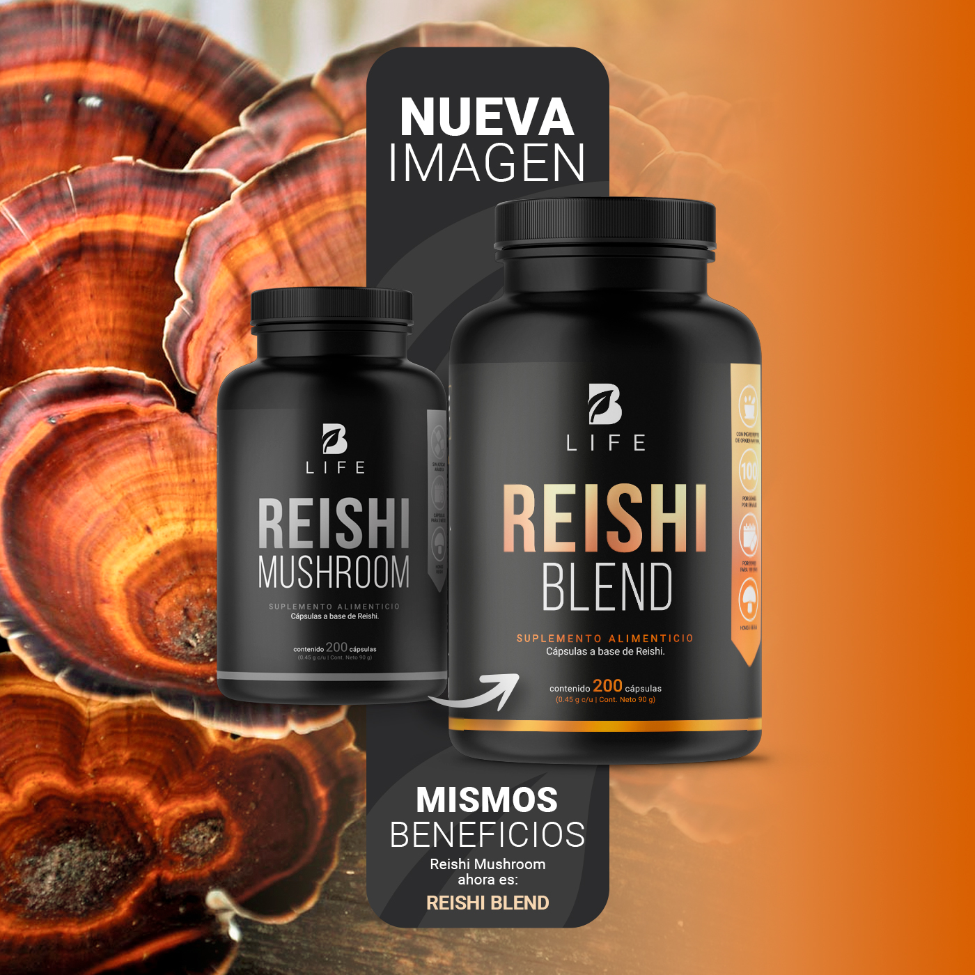 Foto 4 pulgar | Hongo Reishi  - Antioxidante Antiinflamatorio B Life